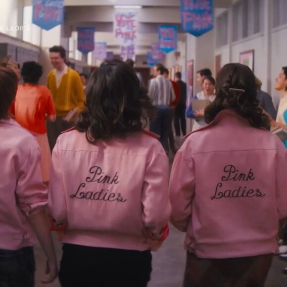 PINK LADIES/ GREASE MOVIE TOP & SKIRT COMBO - Picture 2 of 7